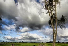 哪里能找到皇马对阵马竞的欧冠决赛视频？这场对决有哪些经典瞬间值得回味？